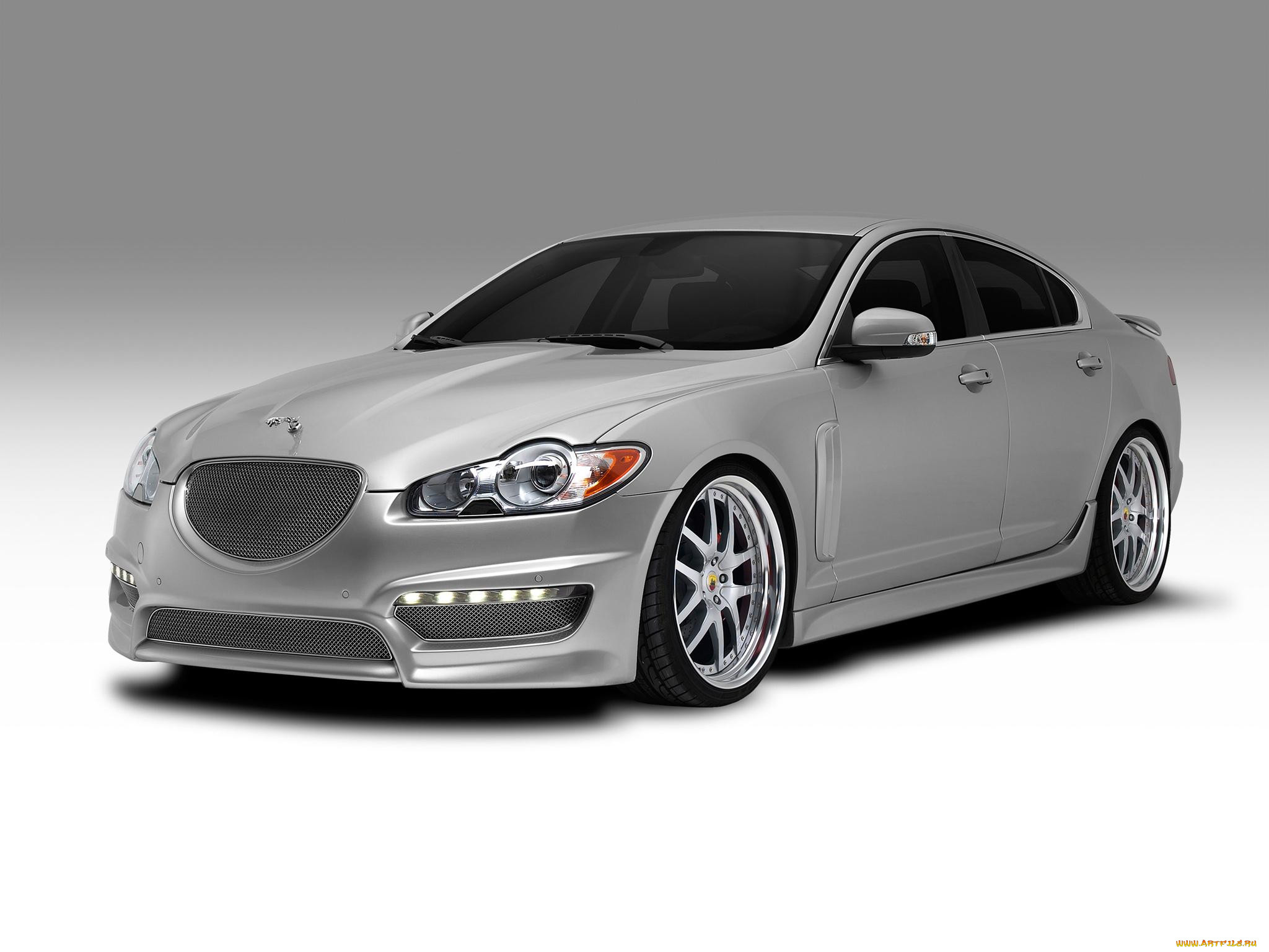 , jaguar